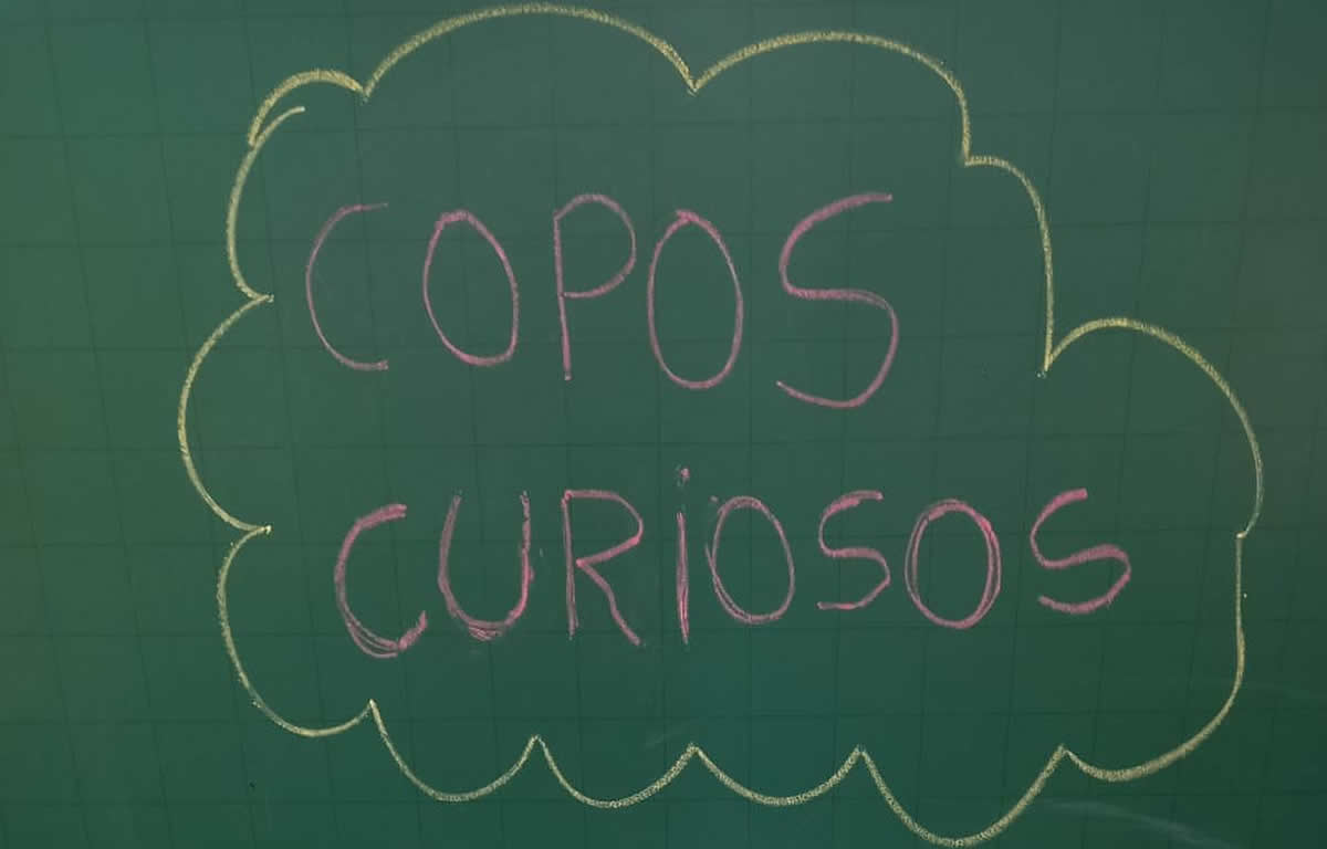 Copos curiosos 2023